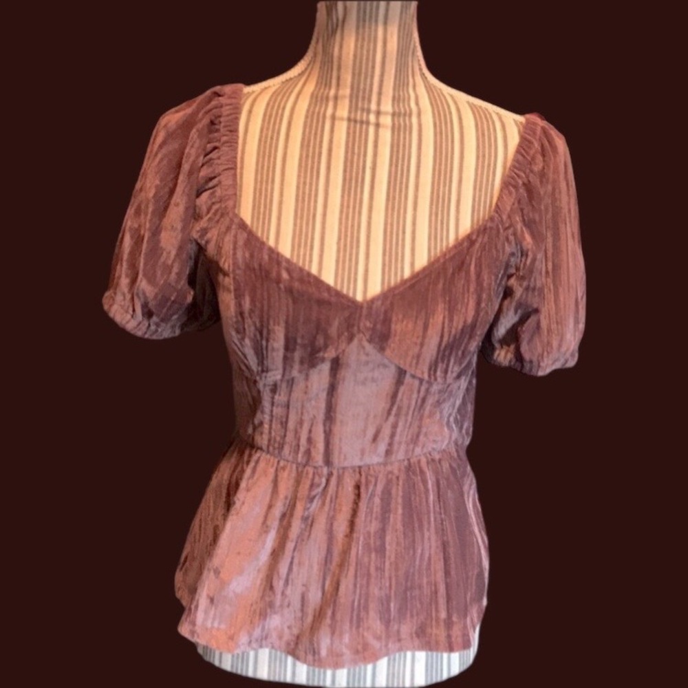 19: NWOT Anthropologie tie back velvet top. A dusty violet color. Side zip. Sz s